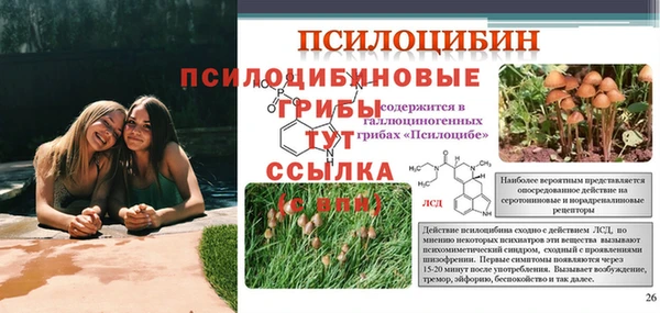 бутират Вяземский